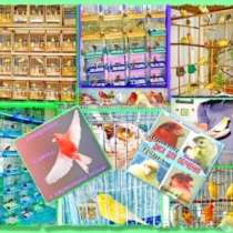 Розеллы пёстрые, красные, жёлтые, рубино, в Москве