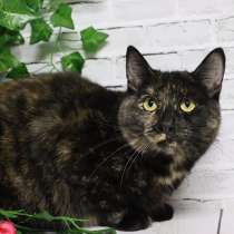 Ищет дом очаровательная Вета, в Москве