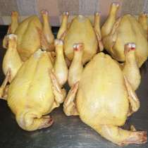 Домашняя курица, в Москве