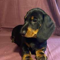 Предлагается к продаже, в Северодвинске