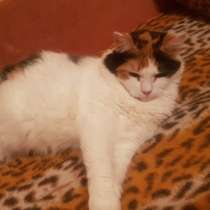 Белочка ищет дом, в Москве