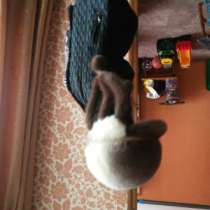 ПРОДАМ ШАПКУ Россия, в Подольске