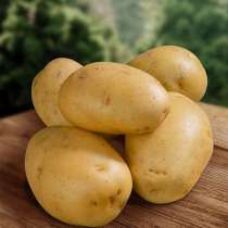 Продам картофель домашний, в Шарье