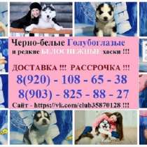 Дивные хаски разных окрасов в продаже, в Ульяновске