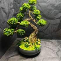 Композиция мини Бонсай, в Раменское