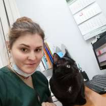 Ветеринарный врач дерматолог в Ясенево, в Москве