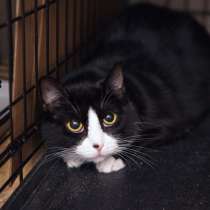 Осторожная Дебора ждёт встречи со своим человеком, в Москве