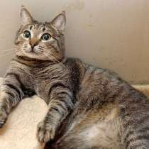 Стефан вынес столько боли, в Москве