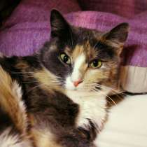 Нежная Элен в поисках любящего сердца, в Москве