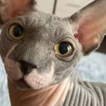 Вязка, в Иванове