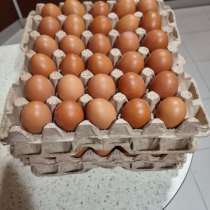 Домашнее куриное яйцо, очень вкусное, желток жёлтый, в Москве