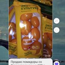 Продаю помидоры со Ставрополя пачка 100 р, в Саратове