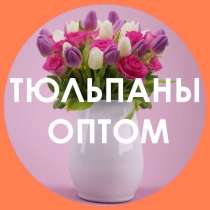 Тюльпаны оптом, в Челябинске