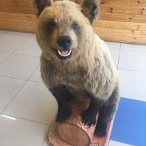 Чучело медведя, в Перми