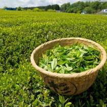 Поставка чая из Вьетнама - более 50 видов, в Москве