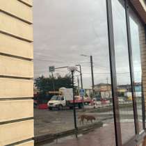 Клининговая компания «Грос», в Москве