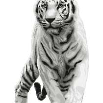 Вышивка нитками «Белый тигр», 48х69см, в Челябинске