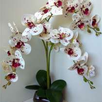 Орхидея из латекса в керамическом кашпо, в Елеце