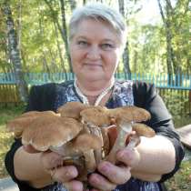 Галина, 60 лет, хочет пообщаться, в Красноярске