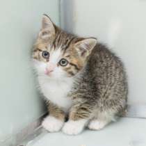 Возьмите домой Спорти Спайс, в Москве