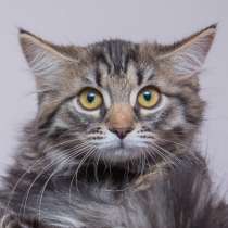 Нежная Серафима в поисках своего человека, в Москве