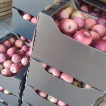 Продажа яблок, в Нальчике