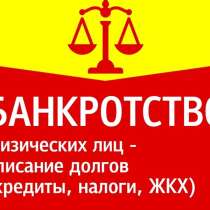 Банкротство физических лиц. Гарантия, в Пскове