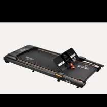 Беговая дорожка, в Нижнем Тагиле