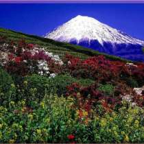 Картины и постеры для дома Магазин-Картин, в Самаре