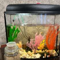 Продам аквариум, в Старом Осколе