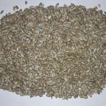 Ядро семечки подсолнечника масляное «LIZA» Высший сорт, в г.Одесса