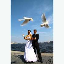 Свадебные голуби, в Екатеринбурге