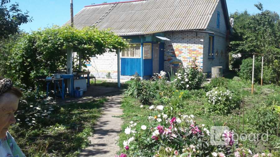 Погода ильмень приволжский самарской. Погода ильмень приволжский самарской. Ильмень самарская область фото. Ильмень поселок. Ильмень поселок.