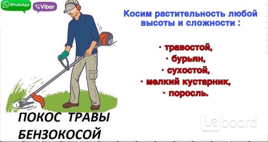 Покос текст. Покос травы. Скос травы. Покос травы визитка. Объявление о скосе травы.