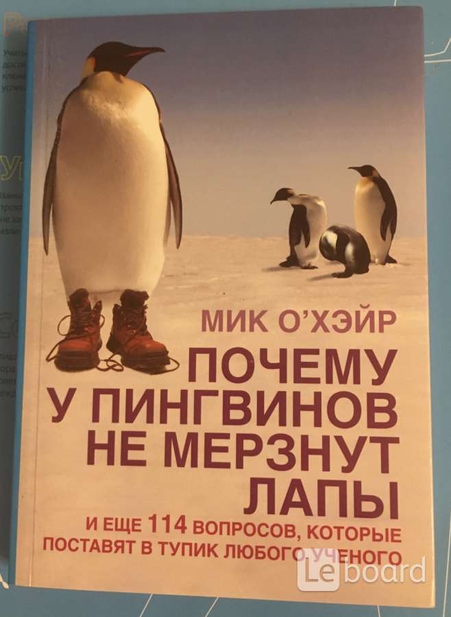 Почему мерзнут лапы. Почему у пингвинов не мерзнут лапы. Почему пингвины не мерзнут. Почему пингвины не мерзнут книга. У пингвина не мерзнут лапы.